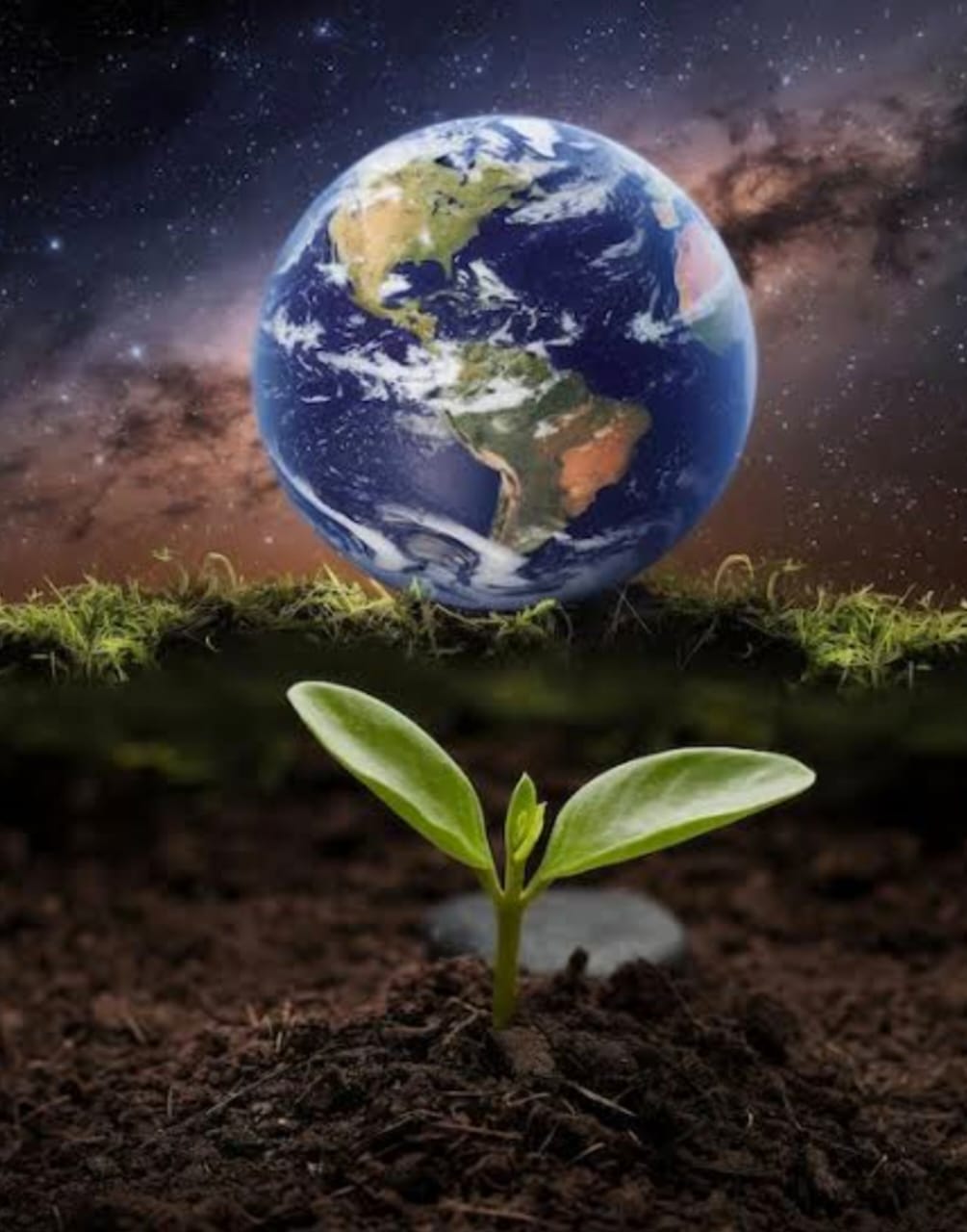 Ó Senhor, nosso Senhor, quão magnífico é o teu nome em toda a terra!