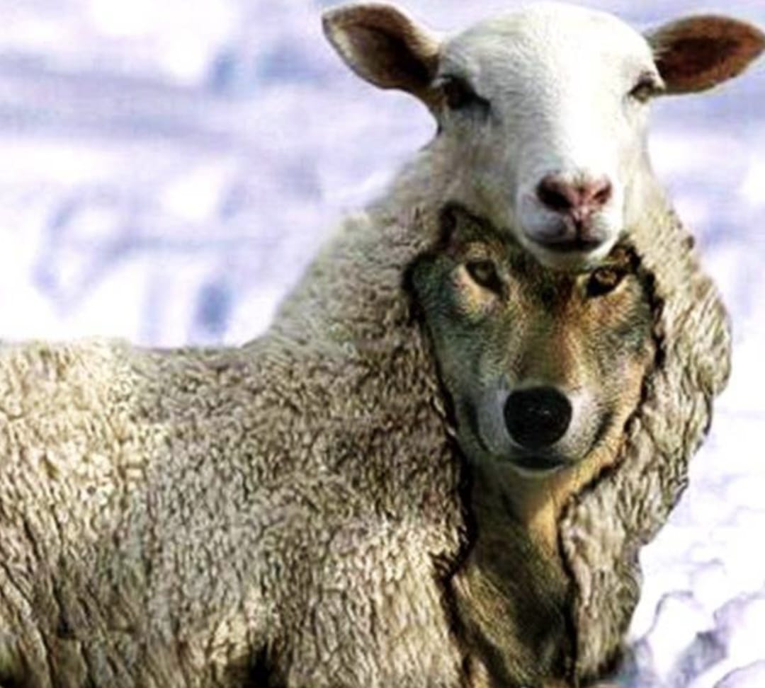 ​LOBOS EM PELE DE CORDEIRO