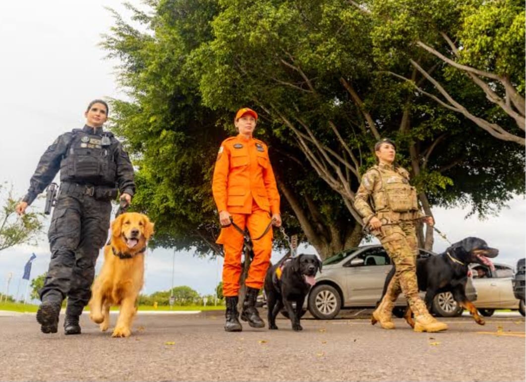 ​DESAPARECIMENTO DE PESSOAS: A DOR QUE NÃO TEM FIM