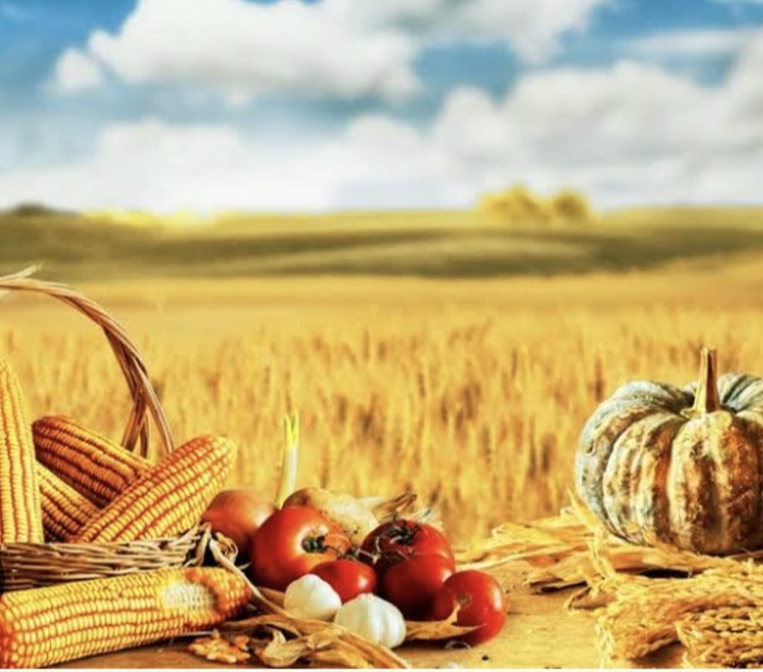 Bendito o teu cesto e a tua maçadeira