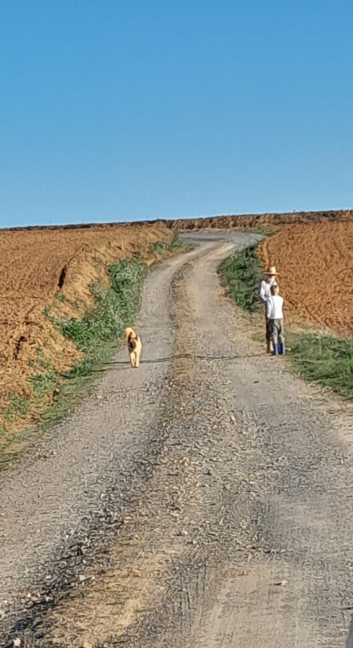 Se Deus não confirmar suas orações, não vá.